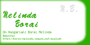 melinda borai business card